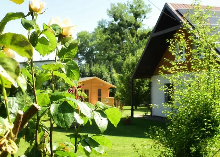 Przystanek Przegalina