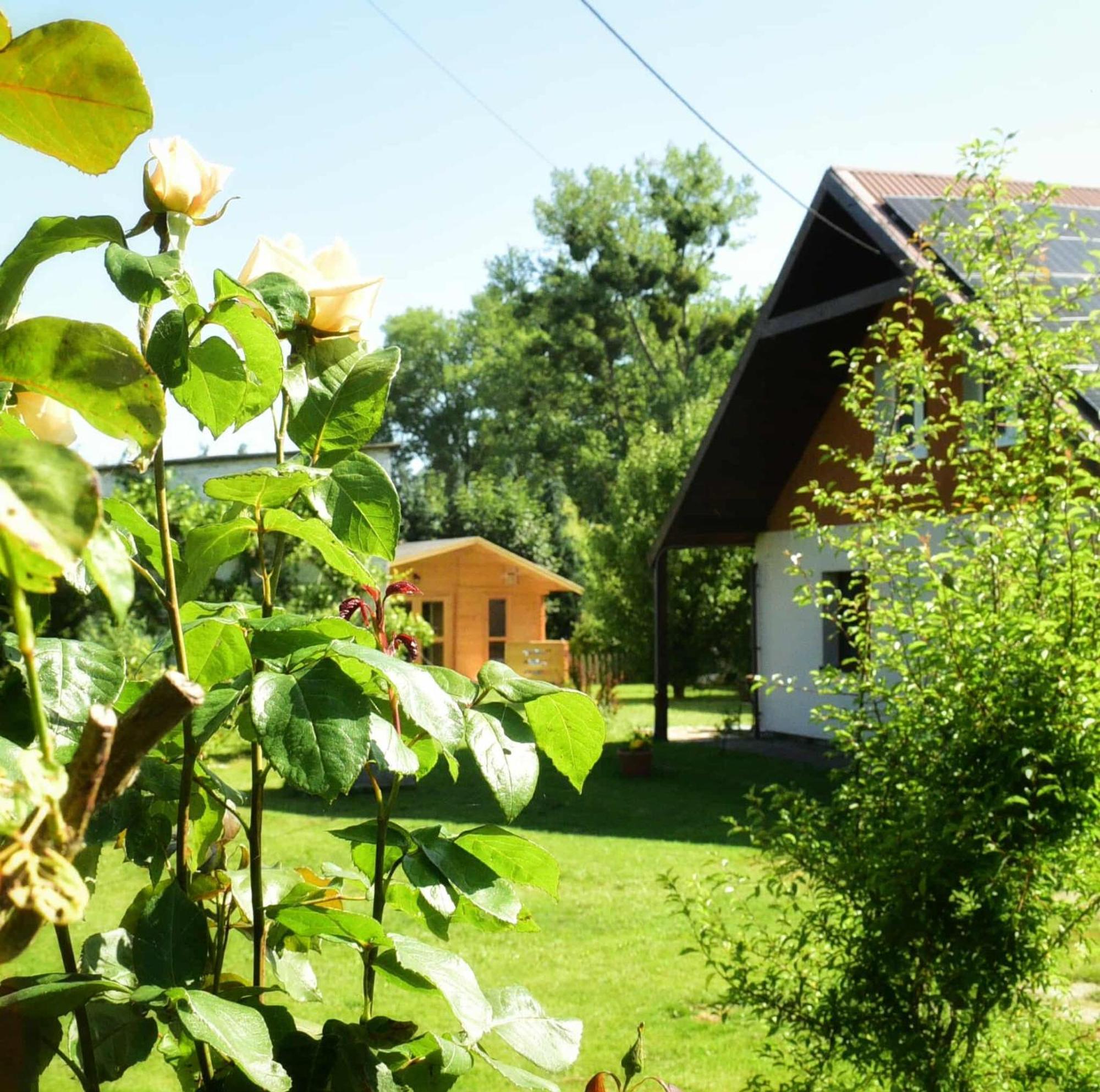 Przystanek Przegalina * Gdansk